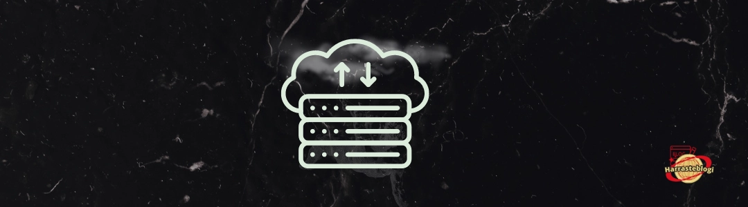 Webhotelli, eli web hosting